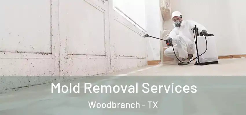  Mold Removal Services Woodbranch - TX