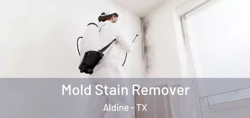  Mold Stain Remover Aldine - TX