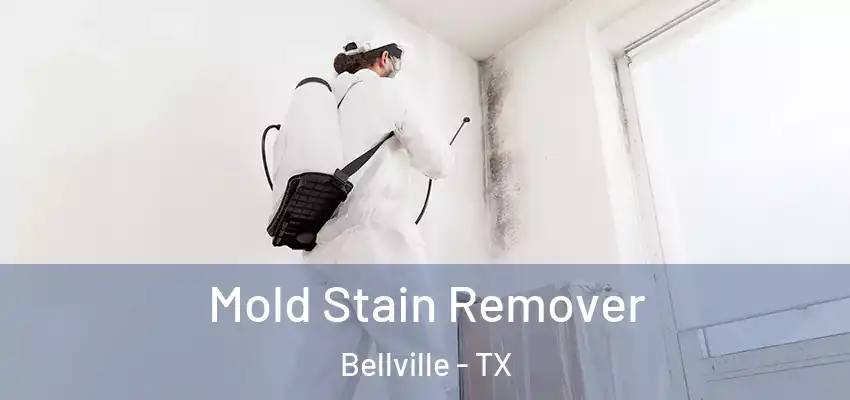 Mold Stain Remover Bellville - TX