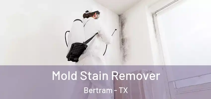  Mold Stain Remover Bertram - TX