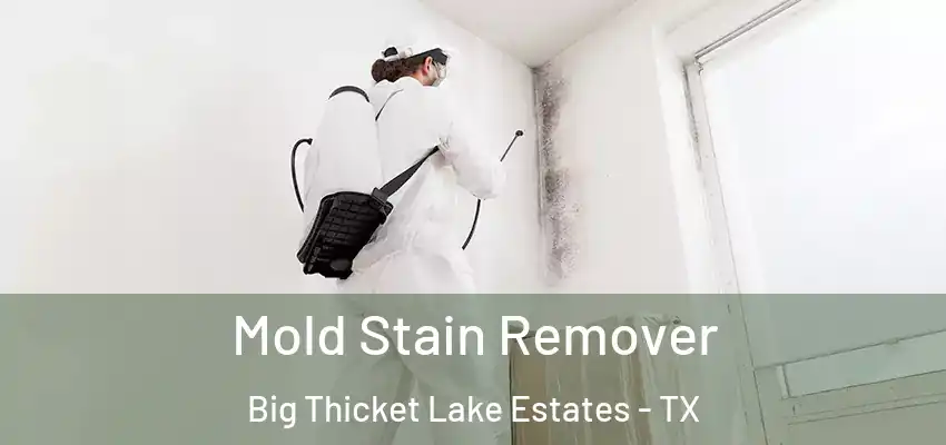  Mold Stain Remover Big Thicket Lake Estates - TX