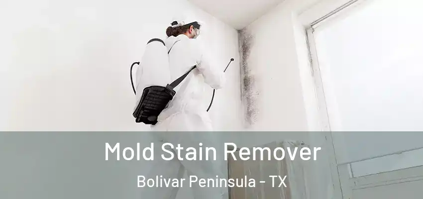 Mold Stain Remover Bolivar Peninsula - TX