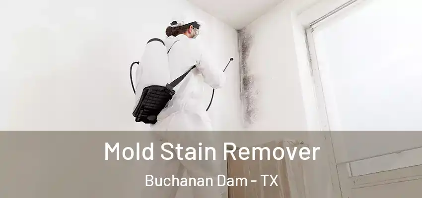  Mold Stain Remover Buchanan Dam - TX