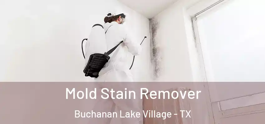 Mold Stain Remover Buchanan Lake Village - TX