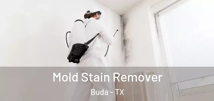  Mold Stain Remover Buda - TX
