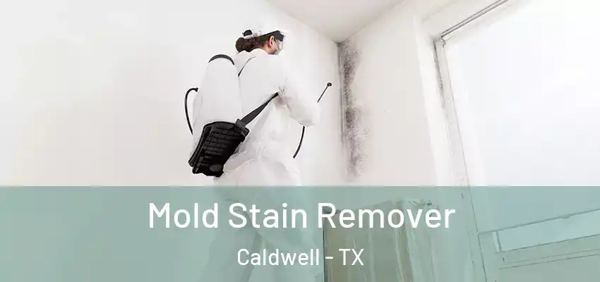 Mold Stain Remover Caldwell - TX