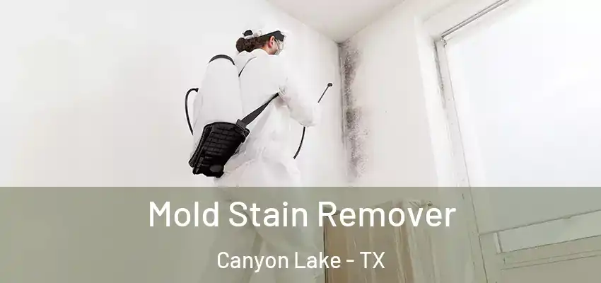 Mold Stain Remover Canyon Lake - TX