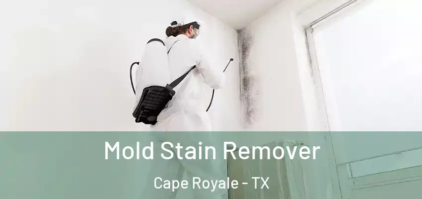  Mold Stain Remover Cape Royale - TX