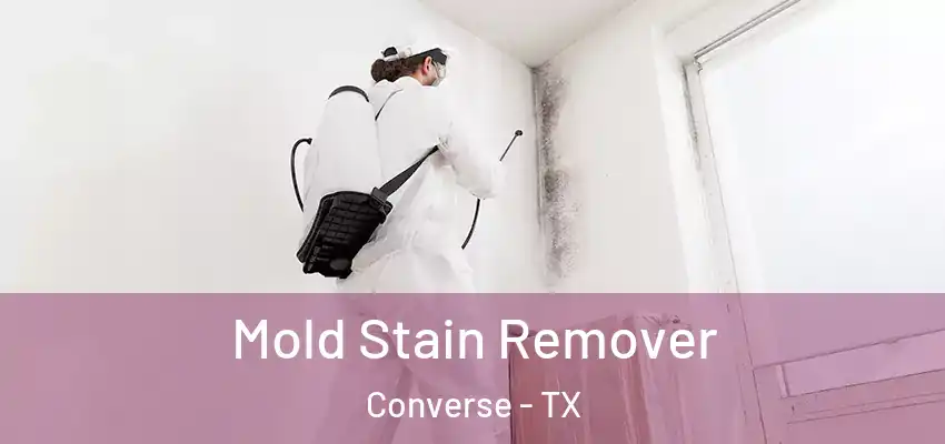 Mold Stain Remover Converse - TX