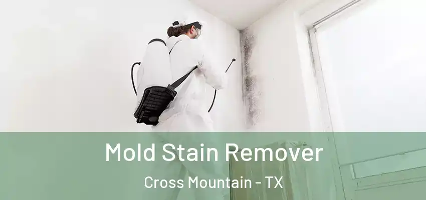 Mold Stain Remover Cross Mountain - TX