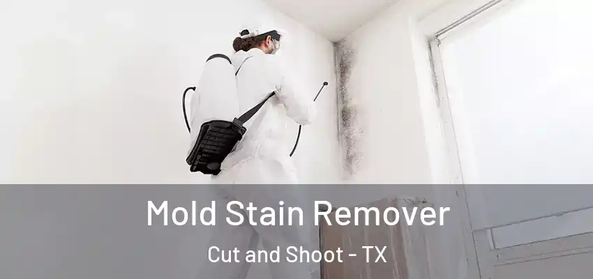  Mold Stain Remover Cut and Shoot - TX