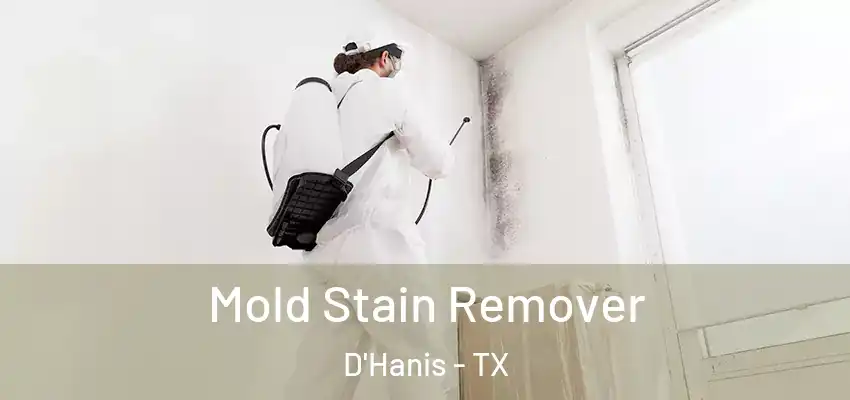  Mold Stain Remover D'Hanis - TX