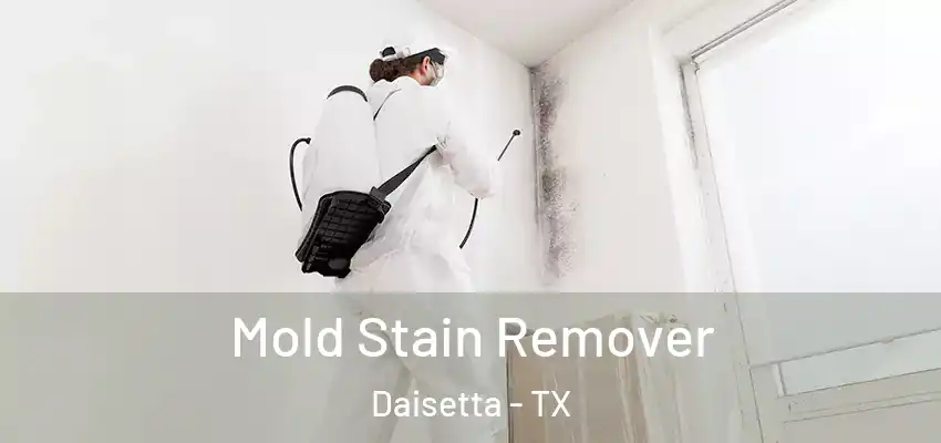  Mold Stain Remover Daisetta - TX