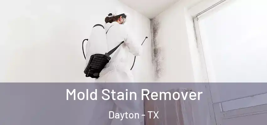  Mold Stain Remover Dayton - TX