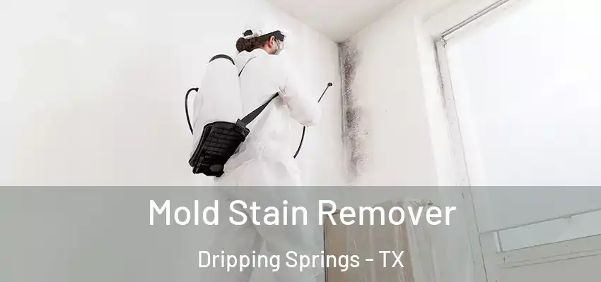 Mold Stain Remover Dripping Springs - TX