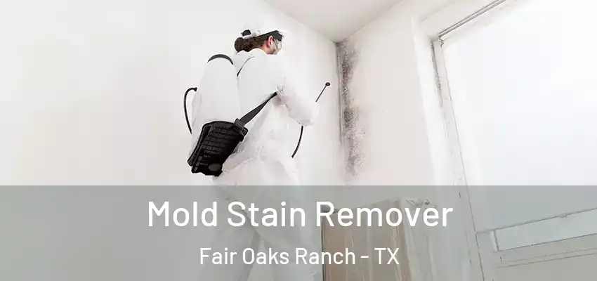  Mold Stain Remover Fair Oaks Ranch - TX