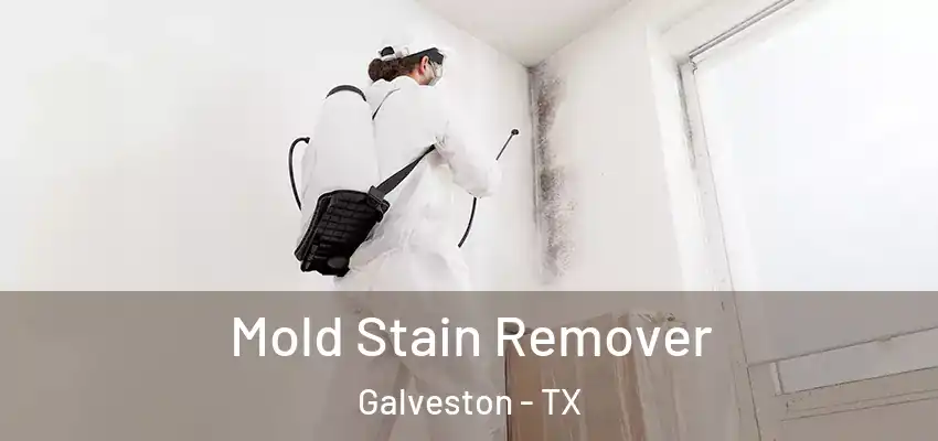  Mold Stain Remover Galveston - TX