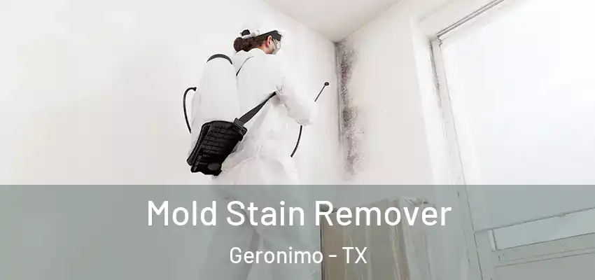  Mold Stain Remover Geronimo - TX