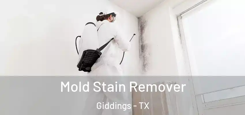  Mold Stain Remover Giddings - TX