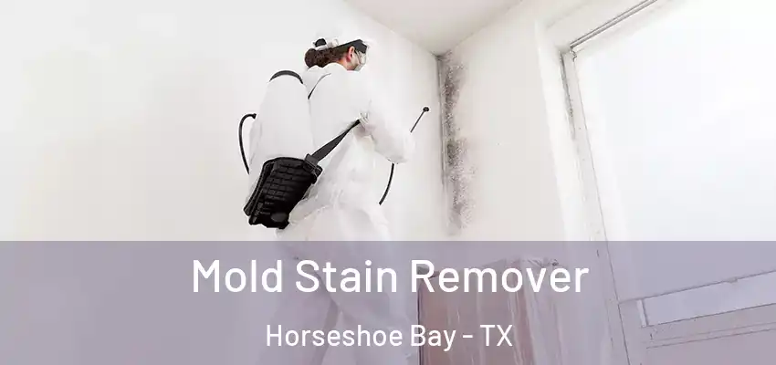 Mold Stain Remover Horseshoe Bay - TX
