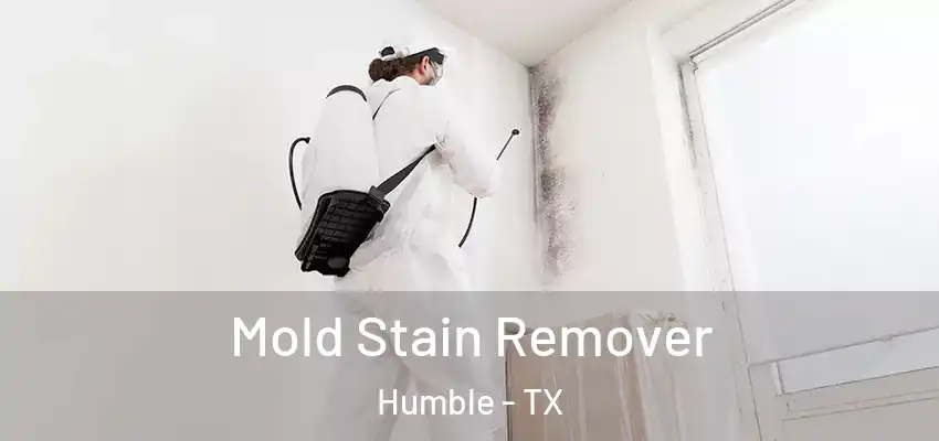  Mold Stain Remover Humble - TX