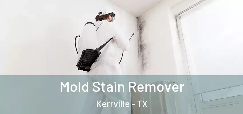  Mold Stain Remover Kerrville - TX