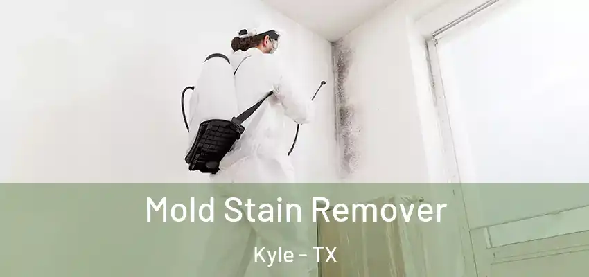  Mold Stain Remover Kyle - TX