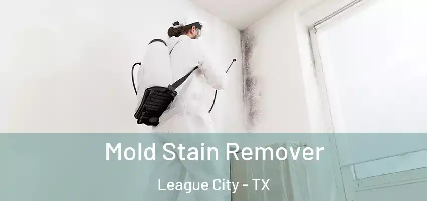 Mold Stain Remover League City - TX