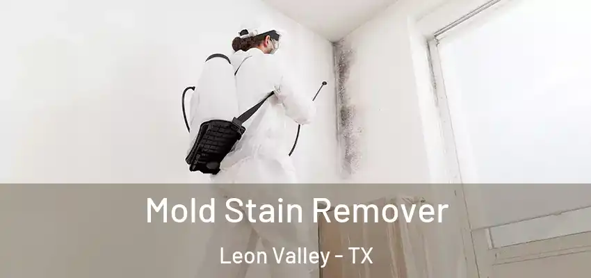  Mold Stain Remover Leon Valley - TX