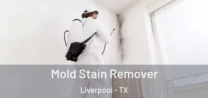  Mold Stain Remover Liverpool - TX