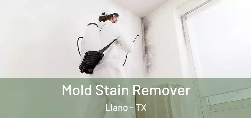 Mold Stain Remover Llano - TX
