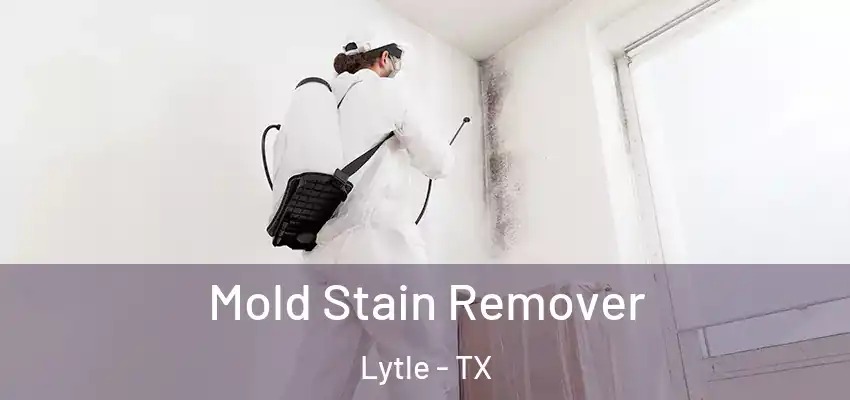  Mold Stain Remover Lytle - TX