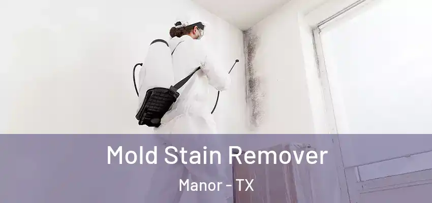  Mold Stain Remover Manor - TX