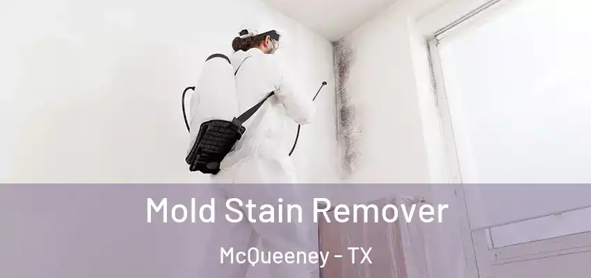 Mold Stain Remover McQueeney - TX