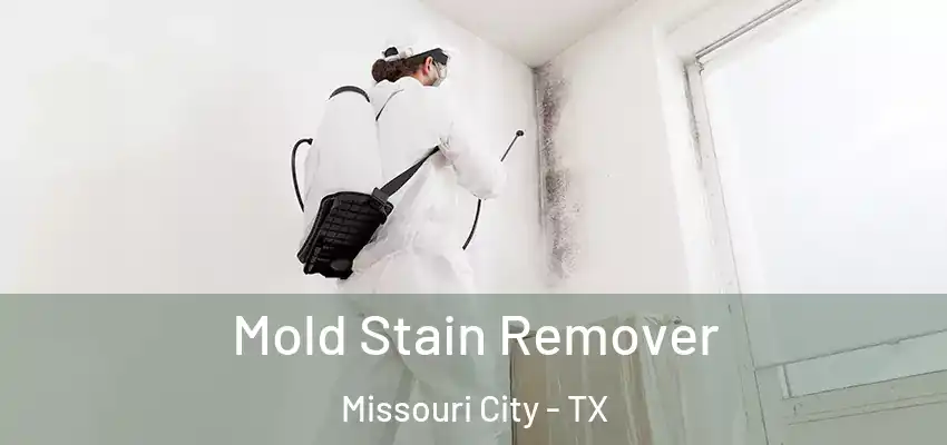 Mold Stain Remover Missouri City - TX