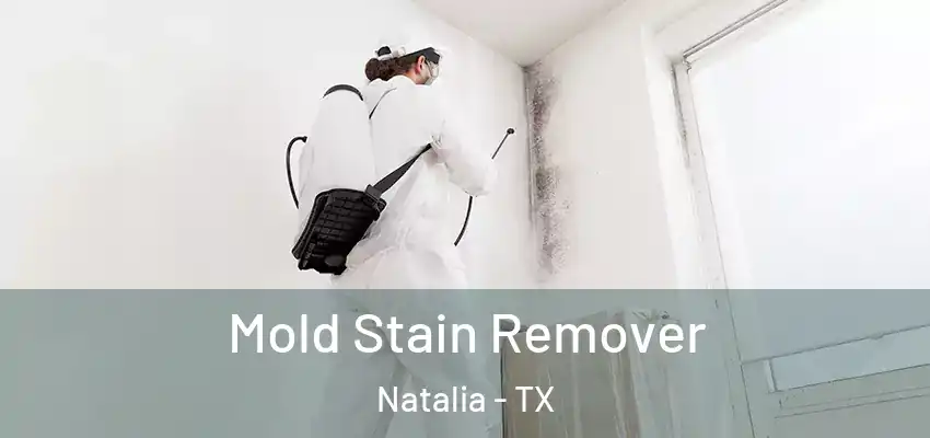  Mold Stain Remover Natalia - TX