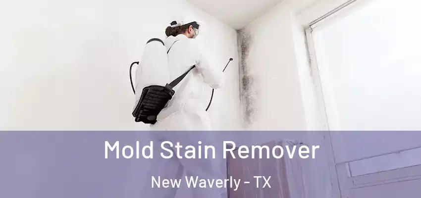 Mold Stain Remover New Waverly - TX
