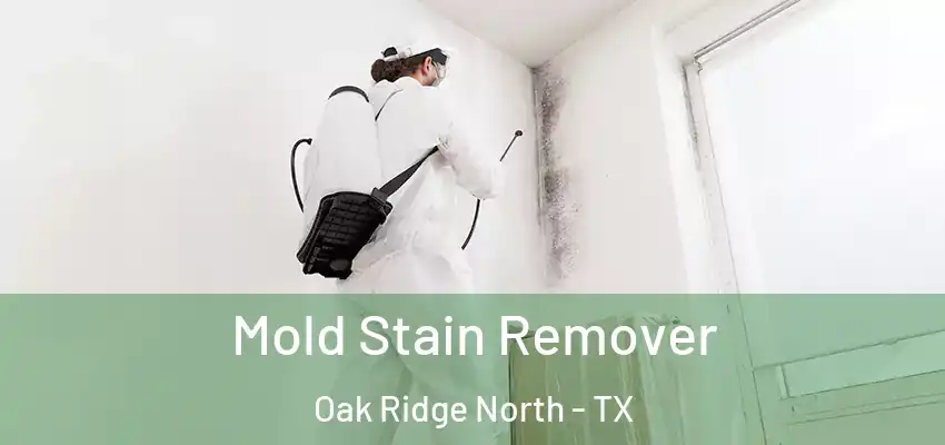 Mold Stain Remover Oak Ridge North - TX