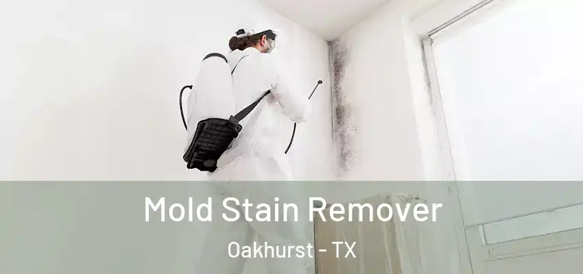  Mold Stain Remover Oakhurst - TX