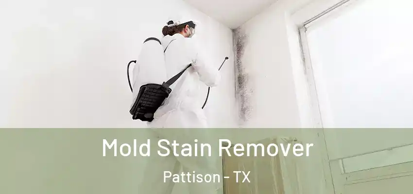 Mold Stain Remover Pattison - TX