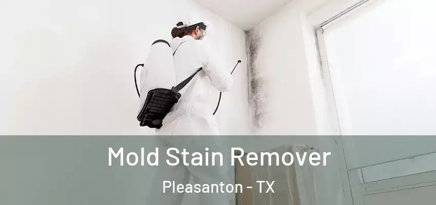  Mold Stain Remover Pleasanton - TX