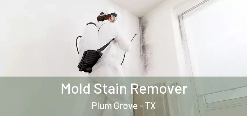 Mold Stain Remover Plum Grove - TX