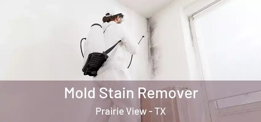  Mold Stain Remover Prairie View - TX