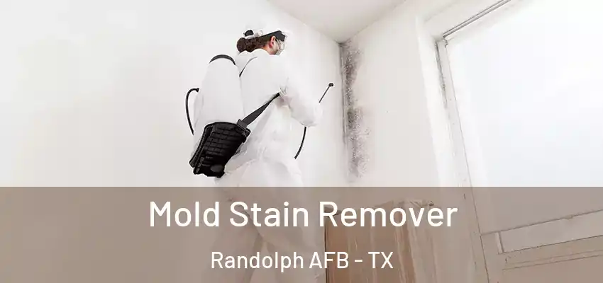  Mold Stain Remover Randolph AFB - TX