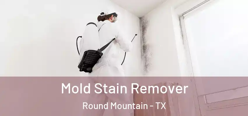 Mold Stain Remover Round Mountain - TX