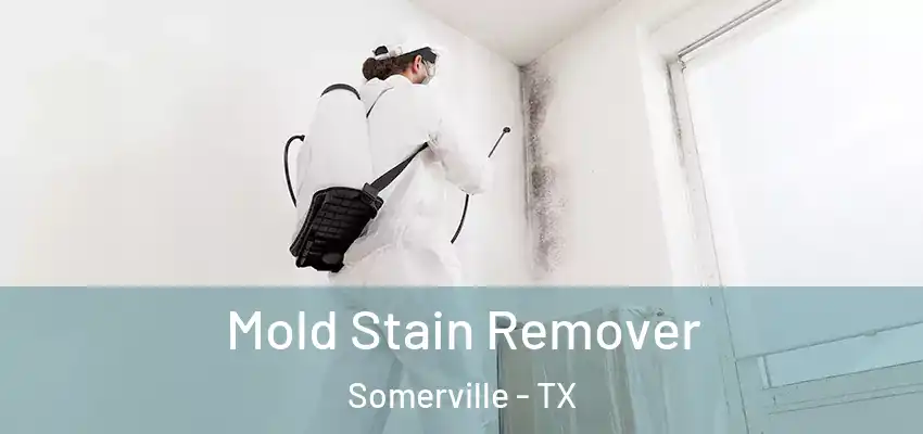 Mold Stain Remover Somerville - TX