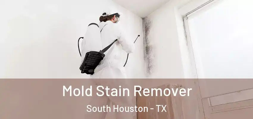 Mold Stain Remover South Houston - TX