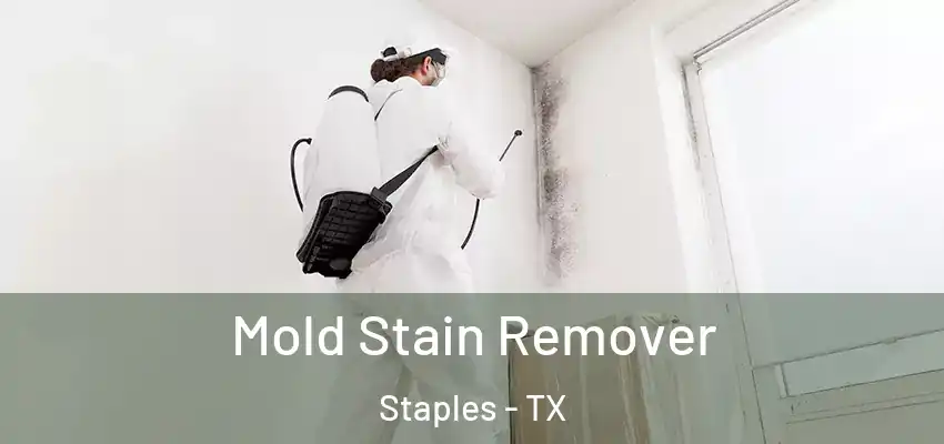  Mold Stain Remover Staples - TX