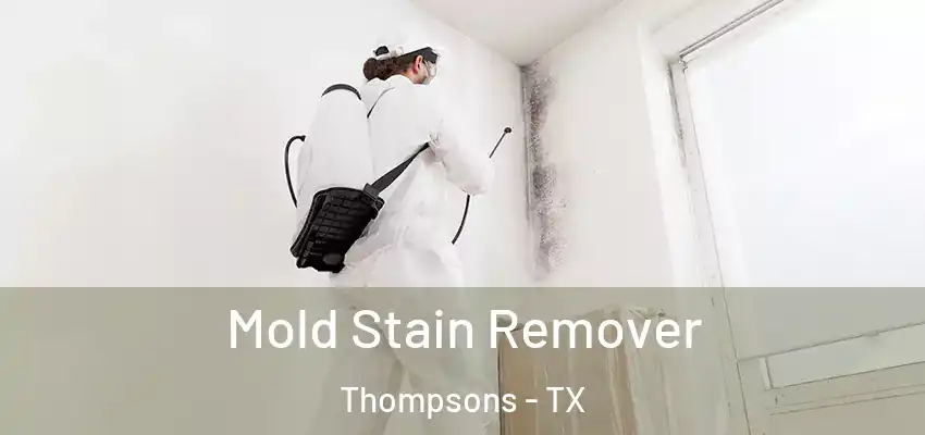  Mold Stain Remover Thompsons - TX