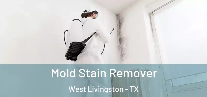  Mold Stain Remover West Livingston - TX